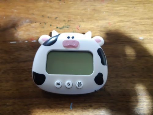 NEW Cute Frogs Kitchen Digital Digital Timer 1-99 Minutes Cooking Research Work Timer Reminder For Store Residence Kitchen Gadget Reward photo review
