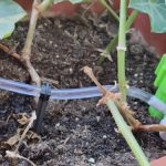Drip Irrigation Computerized Plant Waterers System Adjustable photo review