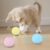 Smart Cat Toys Interactive Ball Catnip Cat Training Toy